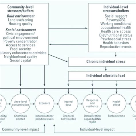 Community Connections: The Vital Role of Relationships in Health and Wellness