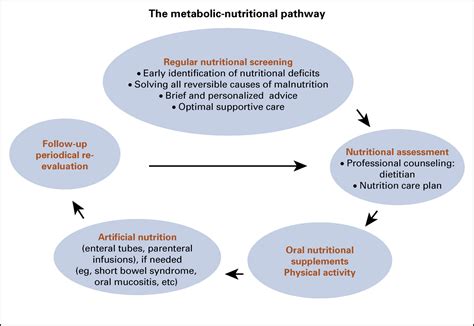 Community Connections: The Vital Role of Relationships in Health and Wellness