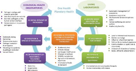 Nutritional Influence on Mental Health: Exploring Key Connections