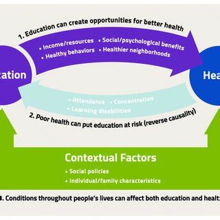 Nutritional Influence on Mental Health: Exploring Key Connections