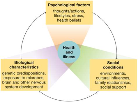 Nutritional Influence on Mental Health: Exploring Key Connections