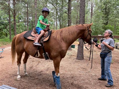 Unlocking Emotional Wellbeing: The Power of Animal-Assisted Therapy and Companion Animals