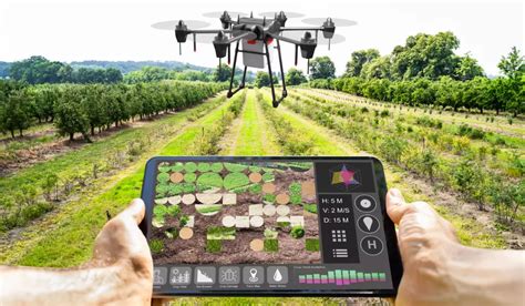 Revolutionizing Agriculture: The Latest Advances in Biotech Farming