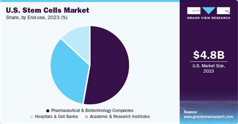 Unlocking the Potential: Top Biotech Innovations in Stem Cell Research