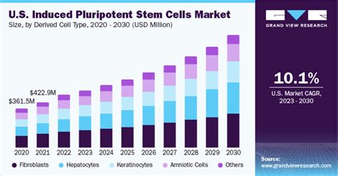 Unlocking the Potential: Top Biotech Innovations in Stem Cell Research